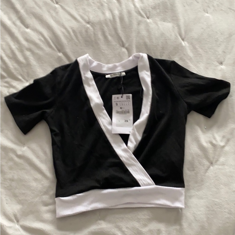 Zara crop top
